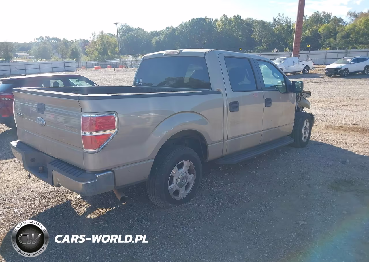 2009 Ford F-150 King Ranch-Lariat-Platinum-Xl-Xlt VIN:1FTPW12V49KC42853 - 4