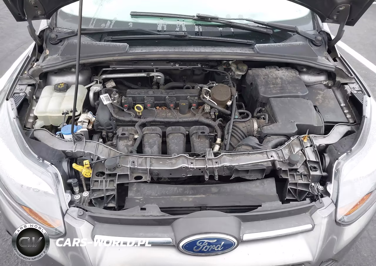2014 Ford Focus Se VIN:1FADP3F23EL414103 - 10