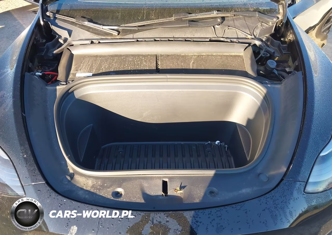 2023 Tesla Model Y Performance Dual Motor All-Wheel Drive VIN:7SAYGDEF7PF770374 - 10