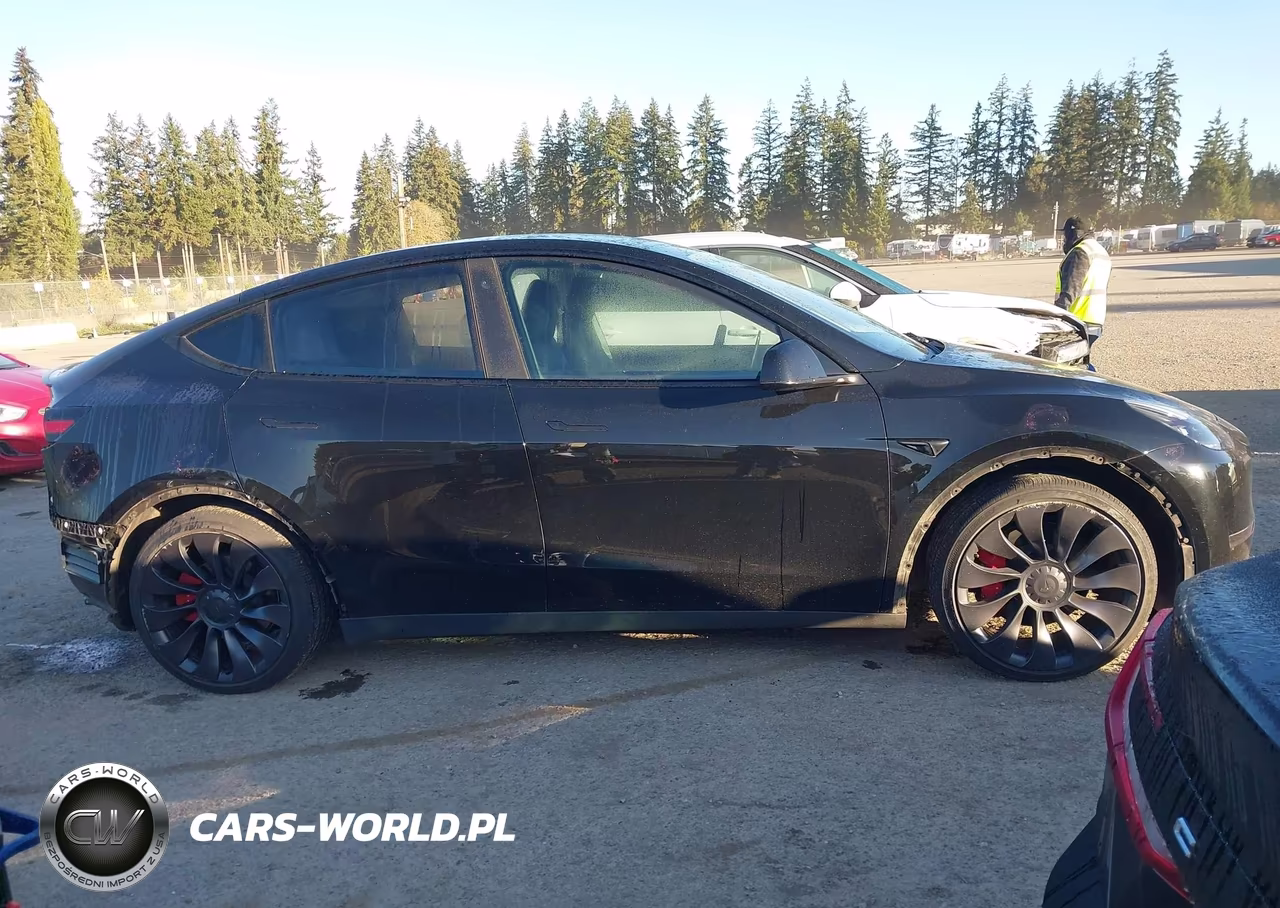 2023 Tesla Model Y Performance Dual Motor All-Wheel Drive VIN:7SAYGDEF7PF770374 - 14
