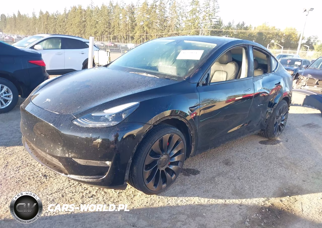 2023 Tesla Model Y Performance Dual Motor All-Wheel Drive VIN:7SAYGDEF7PF770374 - 2
