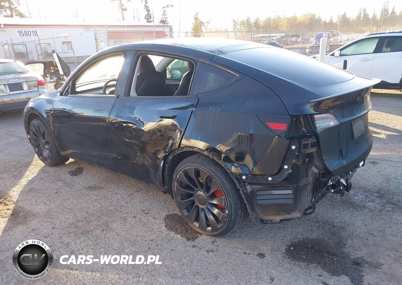 2023 Tesla Model Y Performance Dual Motor All-Wheel Drive VIN:7SAYGDEF7PF770374 - 3