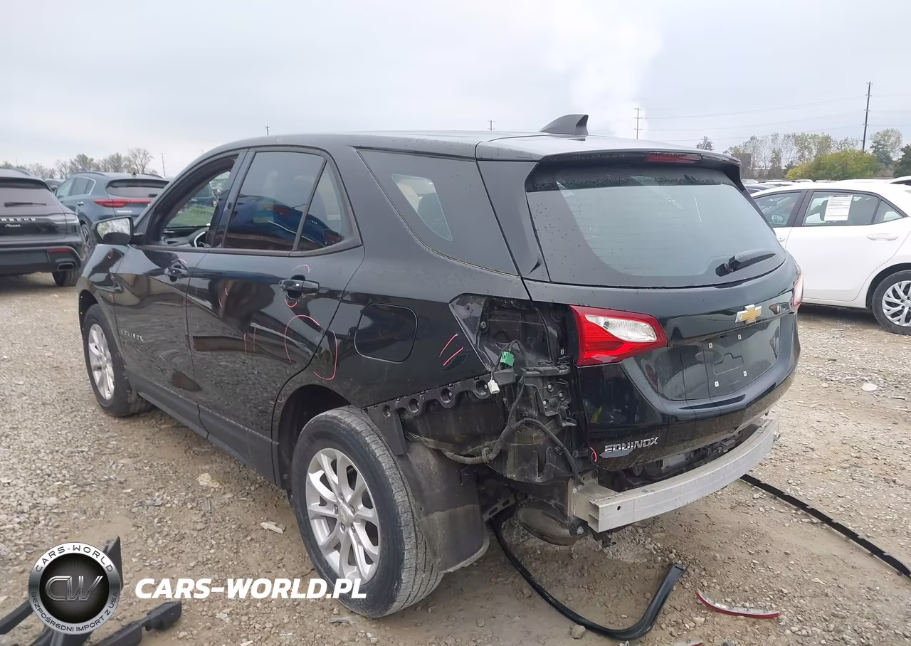 2019 Chevrolet Equinox Ls VIN:3GNAXHEVXKL109338 - 3