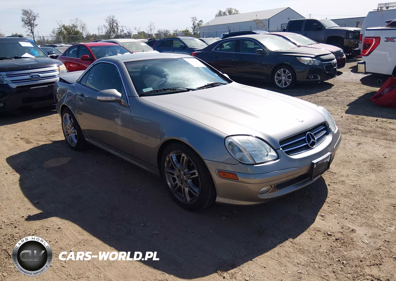 2004 Mercedes-Benz Slk 230 Kompressor VIN:WDBKK49F14F306434 - 1