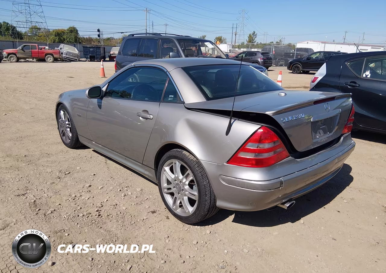 2004 Mercedes-Benz Slk 230 Kompressor VIN:WDBKK49F14F306434 - 3
