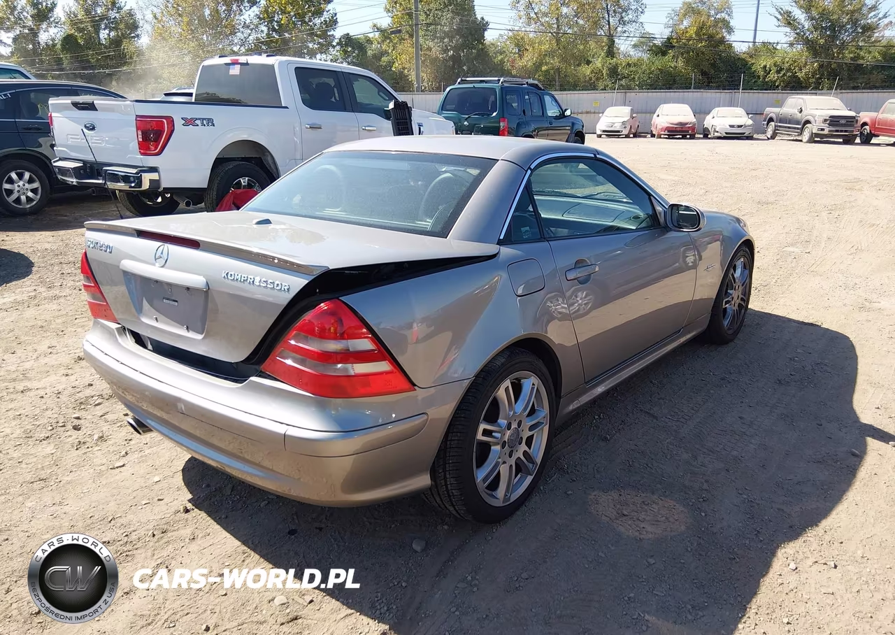 2004 Mercedes-Benz Slk 230 Kompressor VIN:WDBKK49F14F306434 - 4