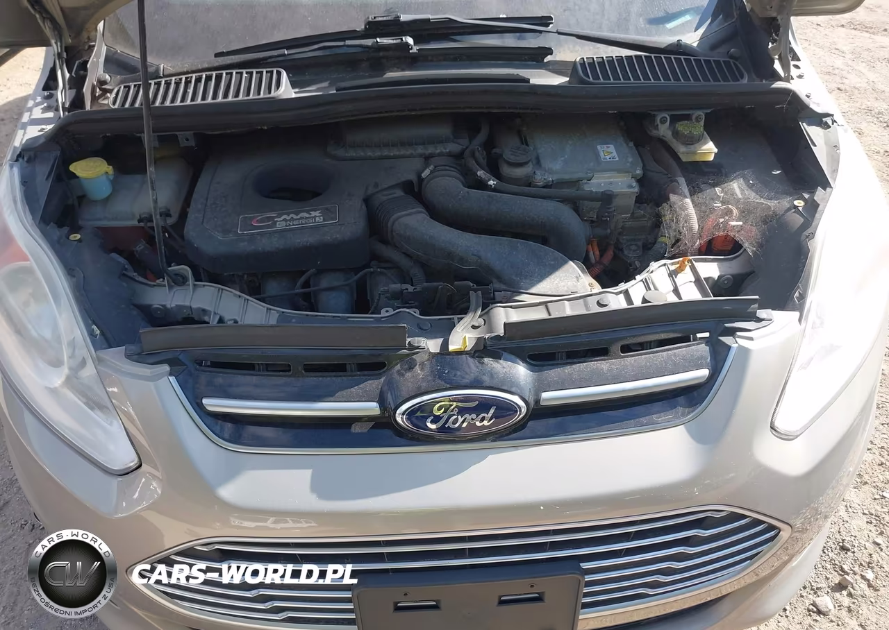 2015 Ford C-Max Energi Sel VIN:1FADP5CU5FL100178 - 10