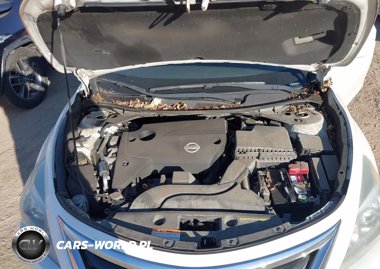 2013 Nissan Altima 2.5 Sv VIN:1N4AL3AP9DC197706 - 10