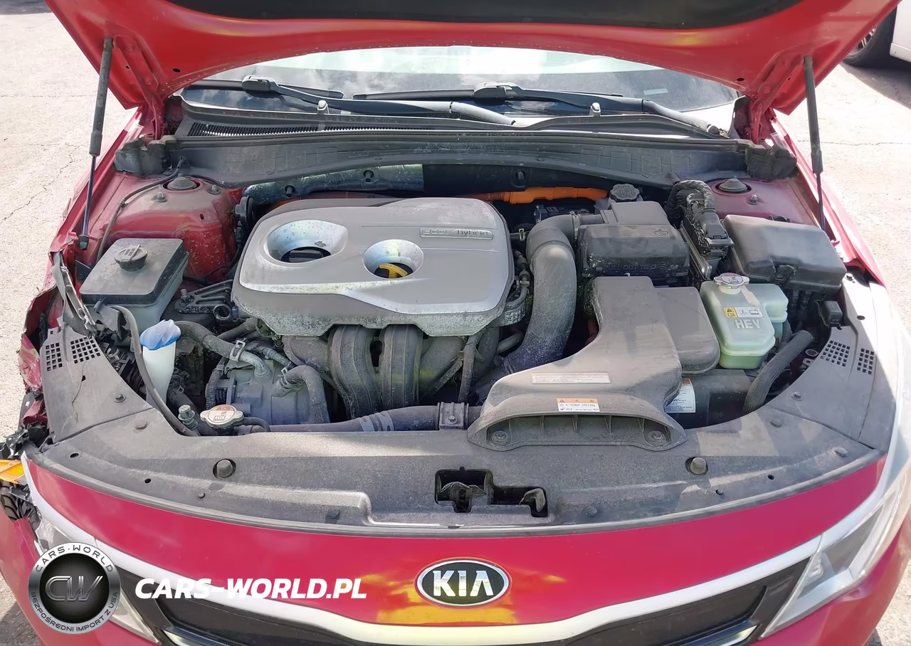 2017 Kia Optima Hybrid Ex VIN:KNAGU4LEXH5011827 - 10