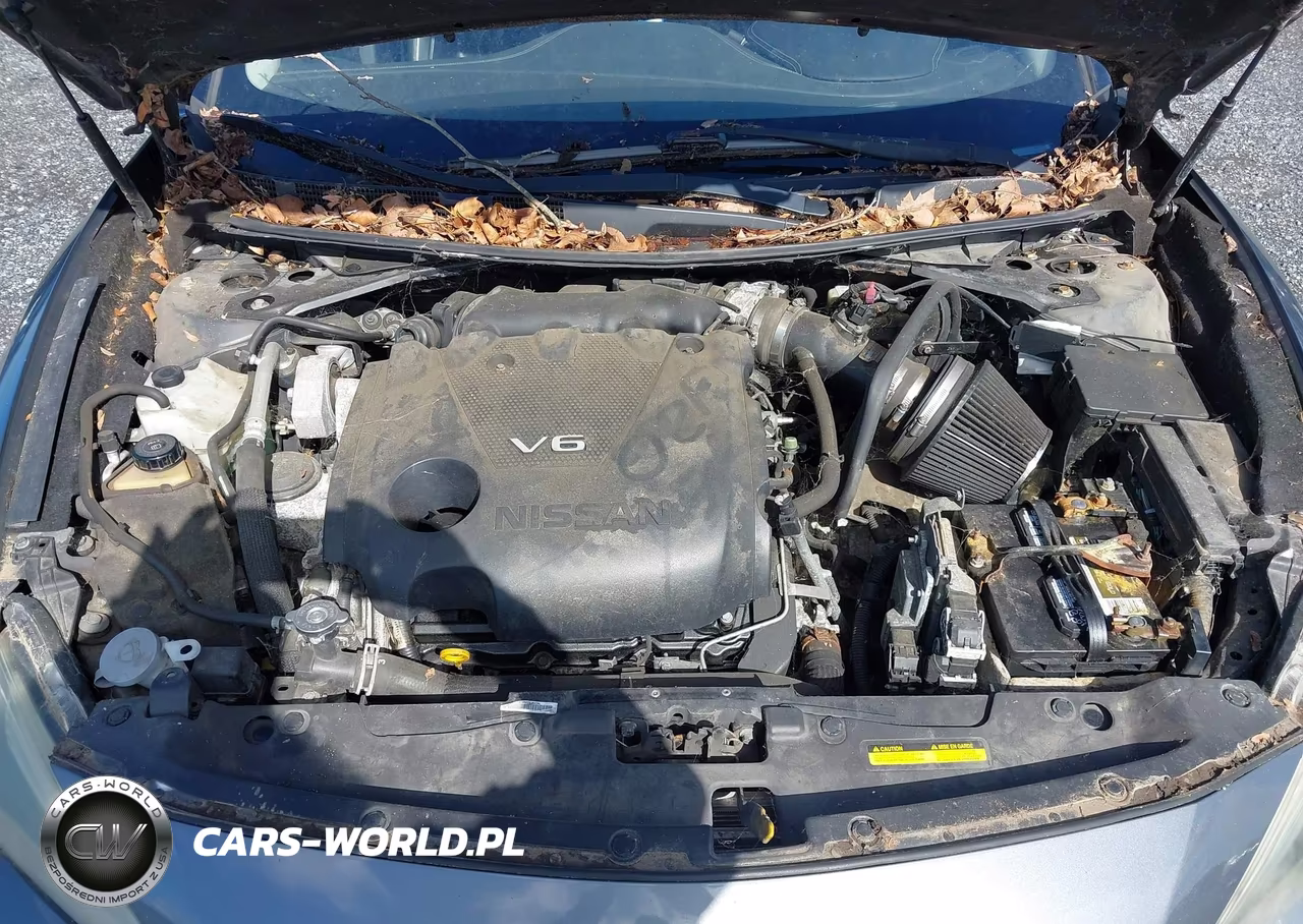 2016 Nissan Maxima 3.5 Sv VIN:1N4AA6AP8GC433886 - 10