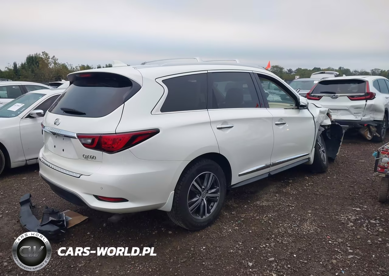 2020 Infiniti Qx60 Luxe Awd VIN:5N1DL0MM4LC520352 - 4