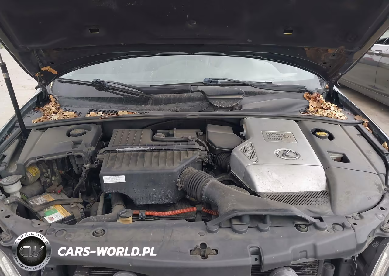 2006 Lexus Rx 400H VIN:JTJHW31U260044074 - 10