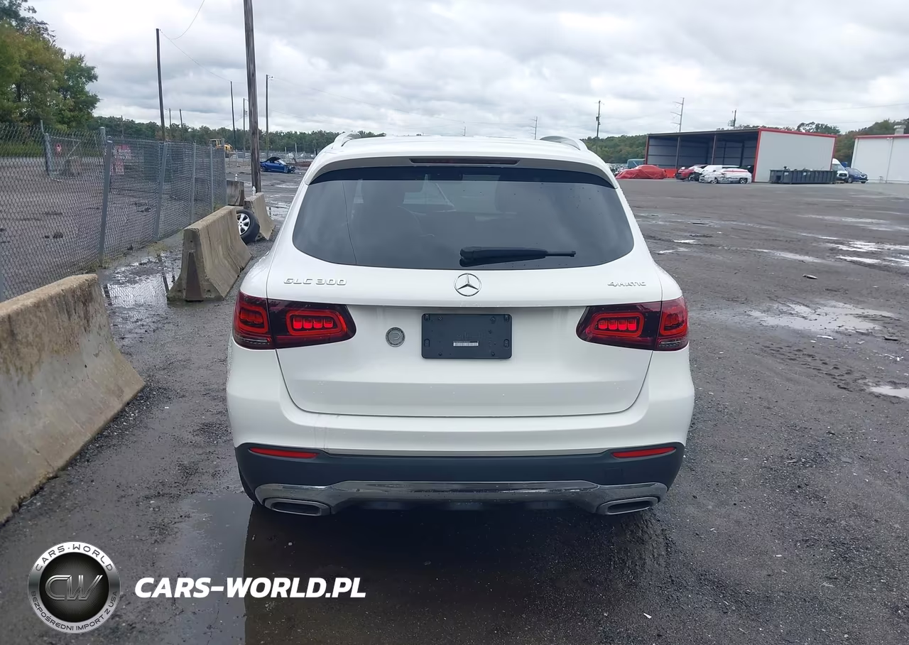 2020 Mercedes-Benz Glc 300 4Matic VIN:W1N0G8EBXLF819645 - 16