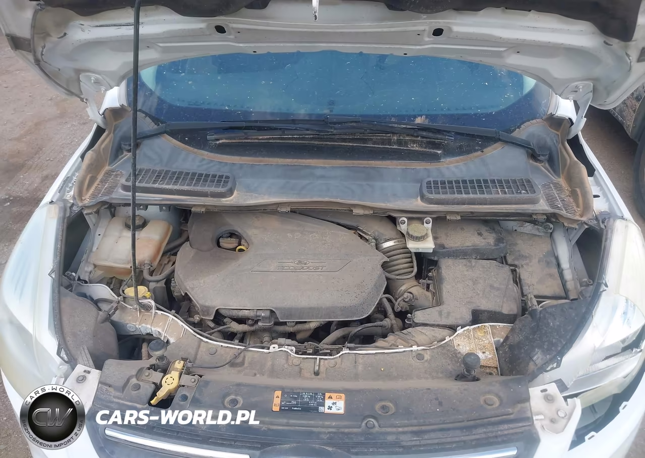2014 Ford Escape Se VIN:1FMCU0GX4EUE27357 - 10