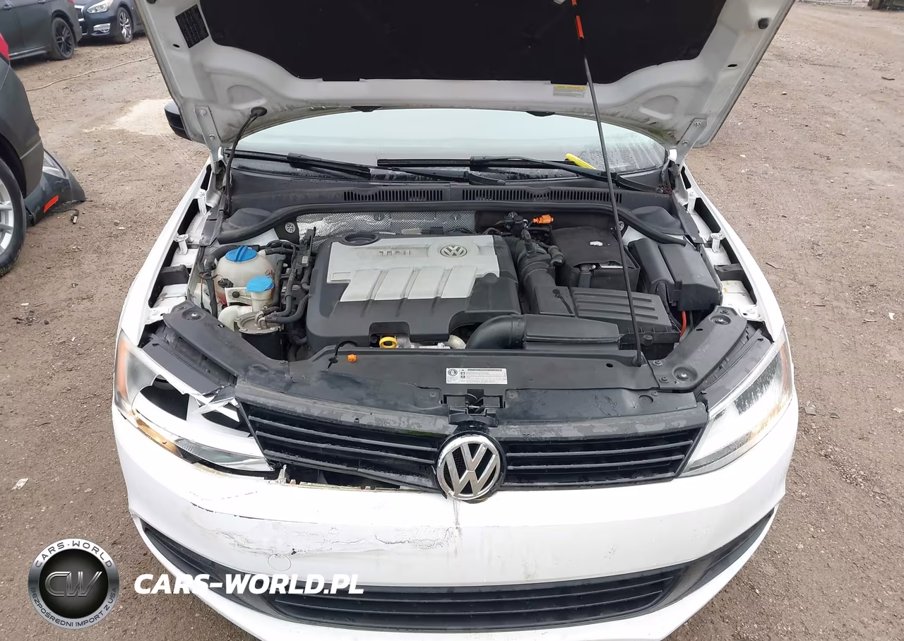 2014 Volkswagen Jetta 2.0L Tdi Value Edition VIN:3VW3L7AJ1EM321745 - 10
