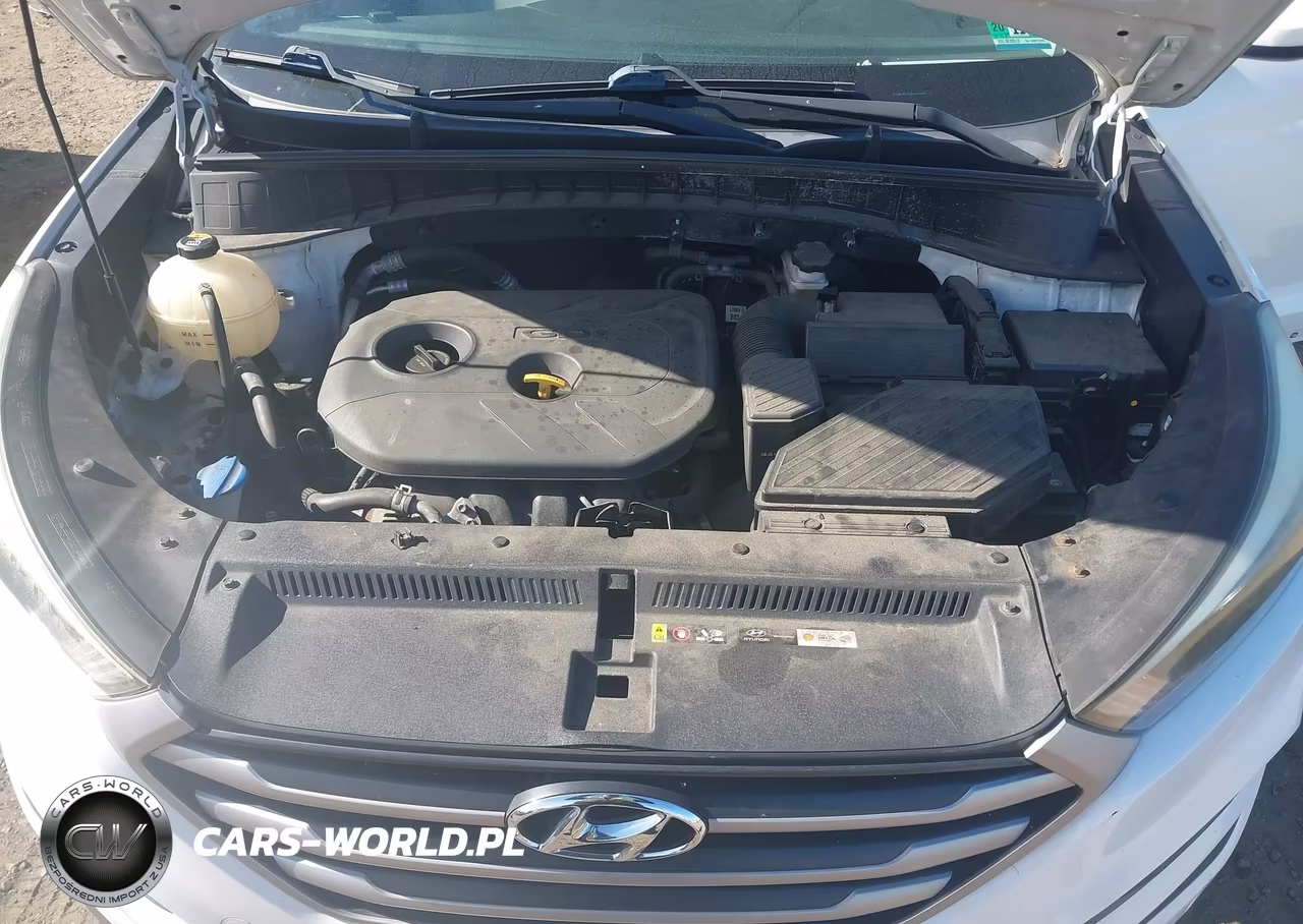 2017 Hyundai Tucson Se VIN:KM8J33A43HU279958 - 10
