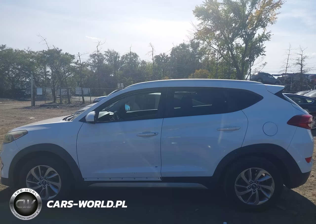 2017 Hyundai Tucson Se VIN:KM8J33A43HU279958 - 15