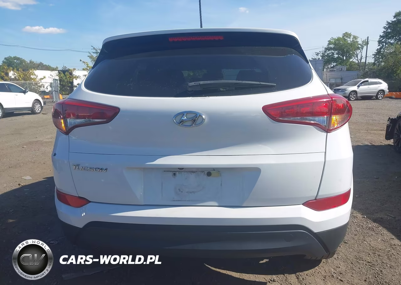 2017 Hyundai Tucson Se VIN:KM8J33A43HU279958 - 17