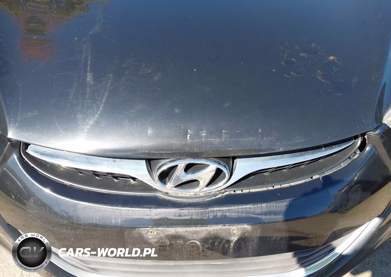 2013 Hyundai Elantra Gls VIN:5NPDH4AEXDH357108 - 6