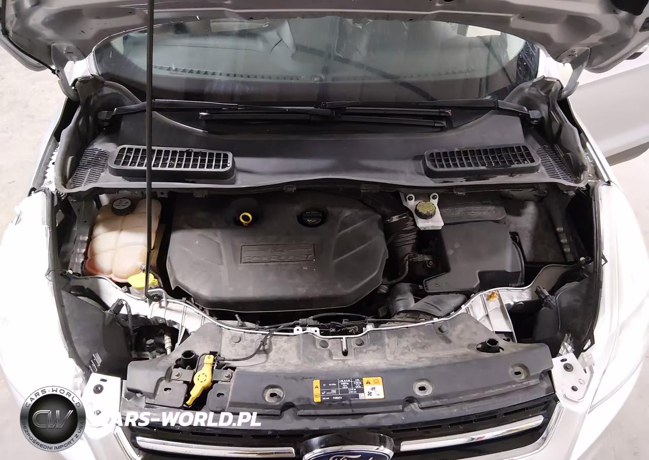 2013 Ford Escape Sel VIN:1FMCU9H94DUC70755 - 10