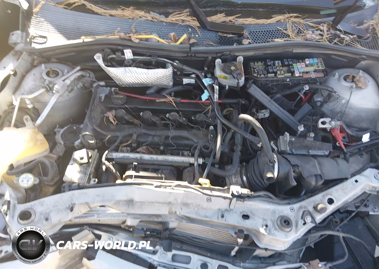 2008 Ford Focus Se-Ses VIN:1FAHP35N78W149122 - 10