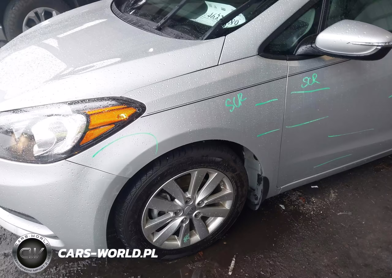 2016 Kia Forte Lx VIN:KNAFX4A66G5610138 - 6