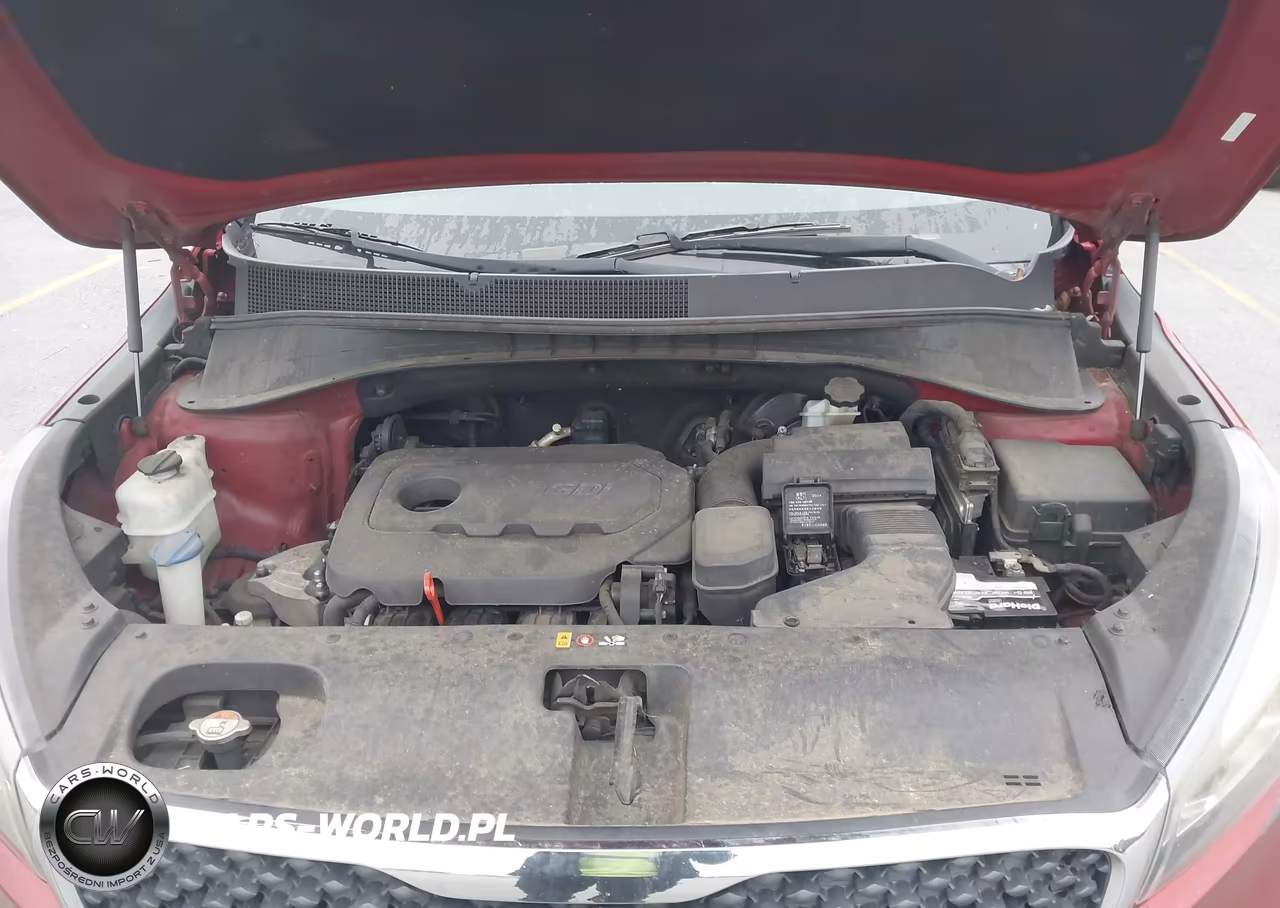 2016 Kia Sorento 2.4L Lx VIN:5XYPG4A38GG056654 - 10