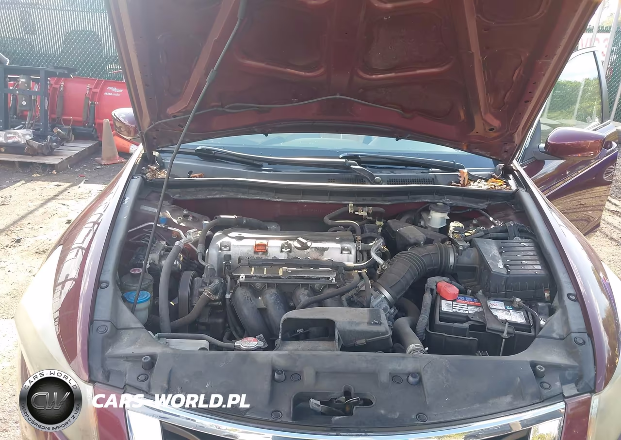 2010 Honda Accord 2.4 Lx VIN:1HGCP2F39AA149865 - 10