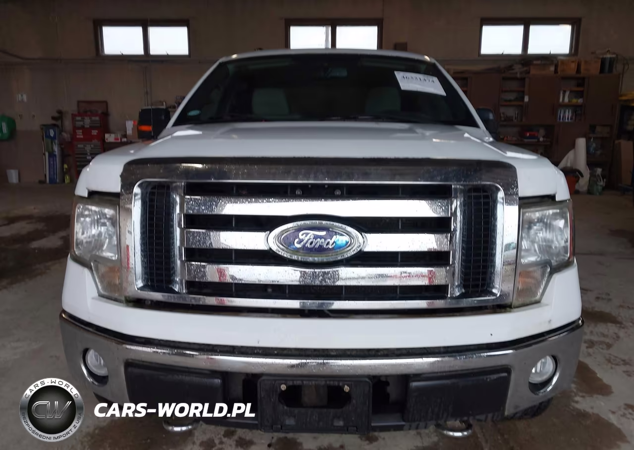 2009 Ford F-150 Stx-Xl-Xlt VIN:1FTRX14819KC75807 - 12
