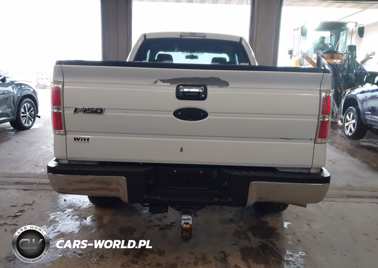 2009 Ford F-150 Stx-Xl-Xlt VIN:1FTRX14819KC75807 - 16