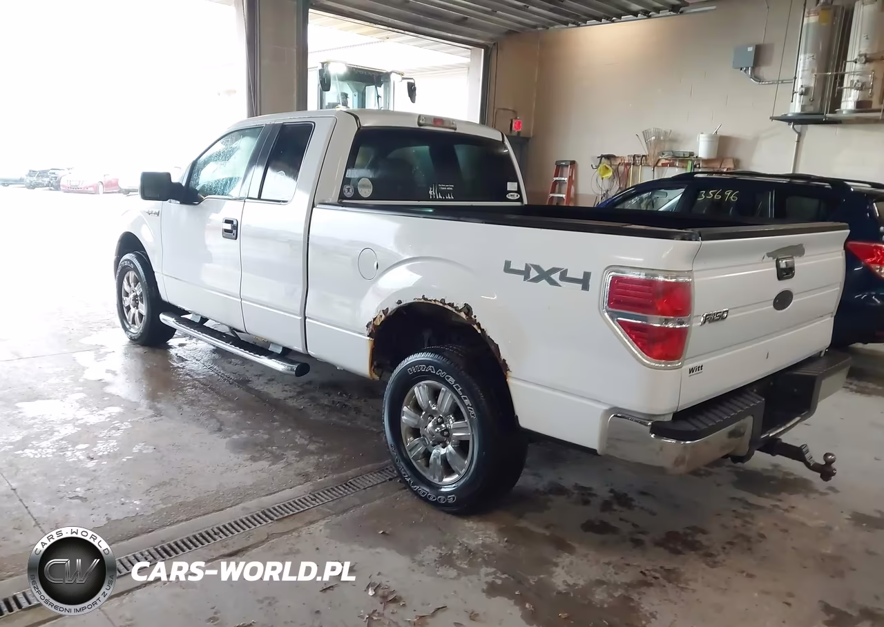 2009 Ford F-150 Stx-Xl-Xlt VIN:1FTRX14819KC75807 - 3