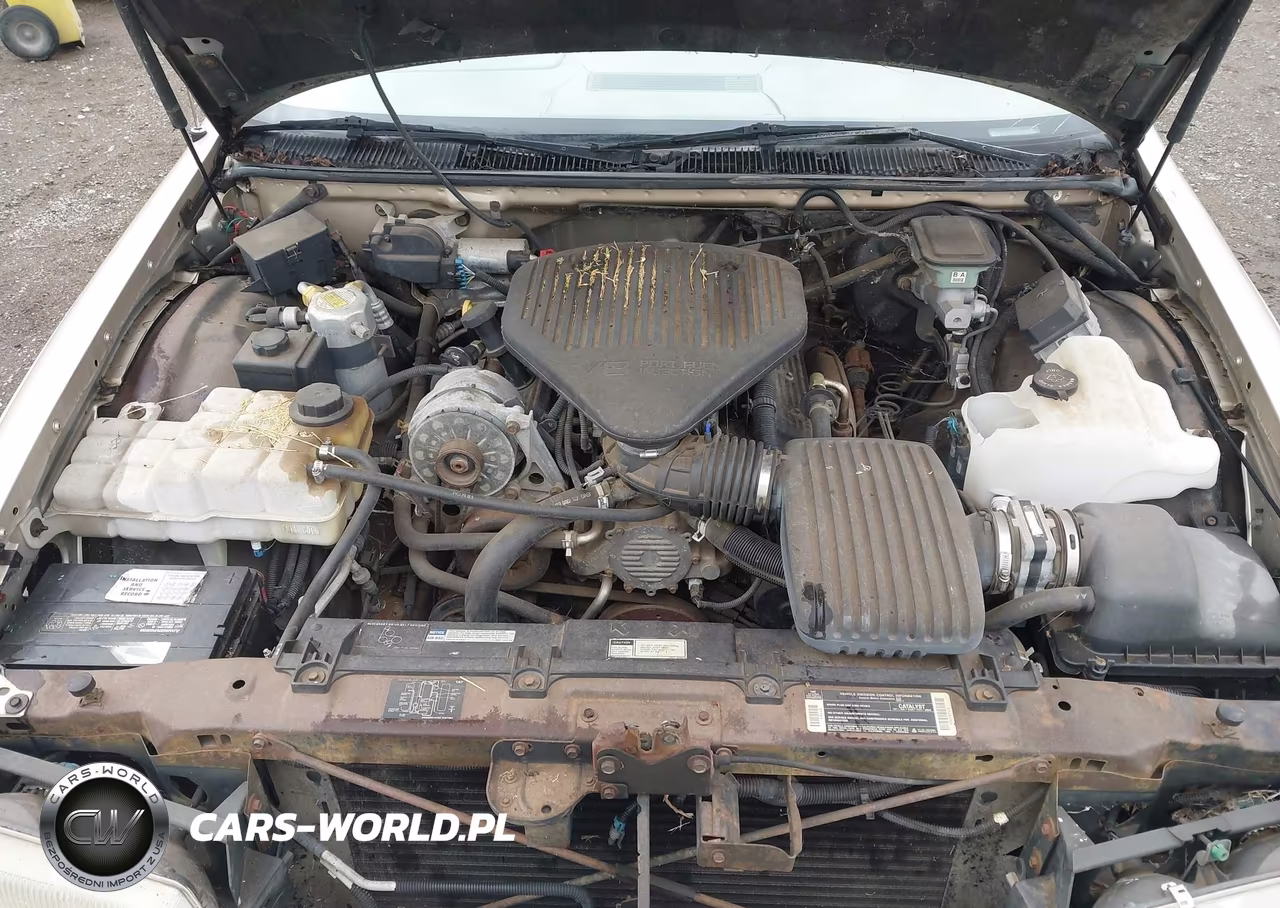 1995 Chevrolet Caprice VIN:1G1BL82P3SR101081 - 10