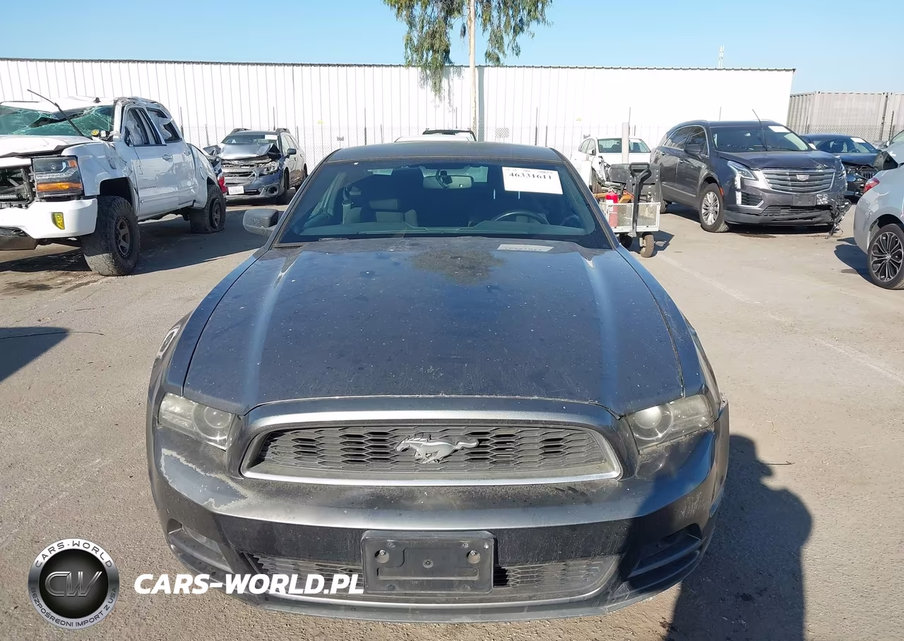 2013 Ford Mustang V6 VIN:1ZVBP8AM1D5216496 - 13