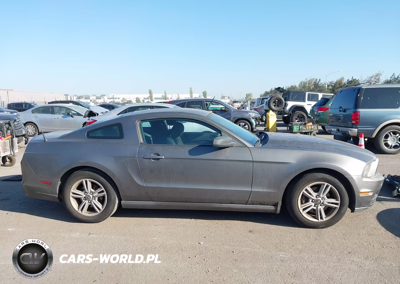 2013 Ford Mustang V6 VIN:1ZVBP8AM1D5216496 - 14