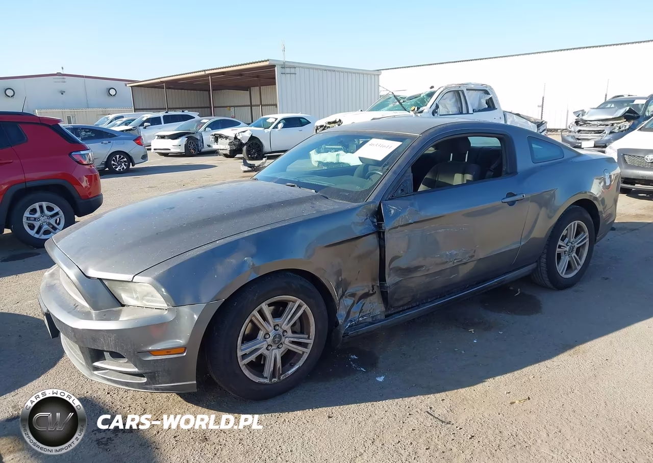2013 Ford Mustang V6 VIN:1ZVBP8AM1D5216496 - 2