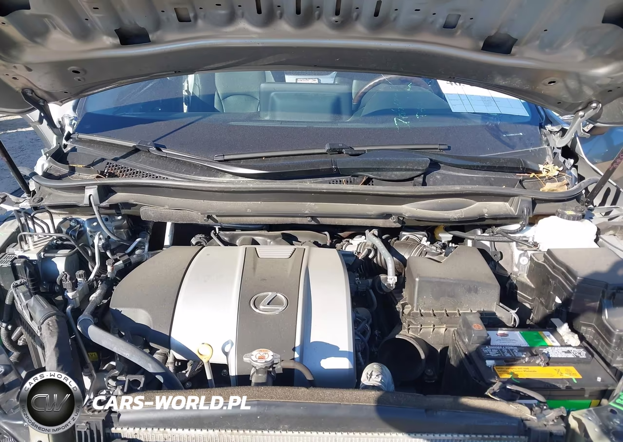 2020 Lexus Rx 350 VIN:2T2HZMDA6LC217447 - 10