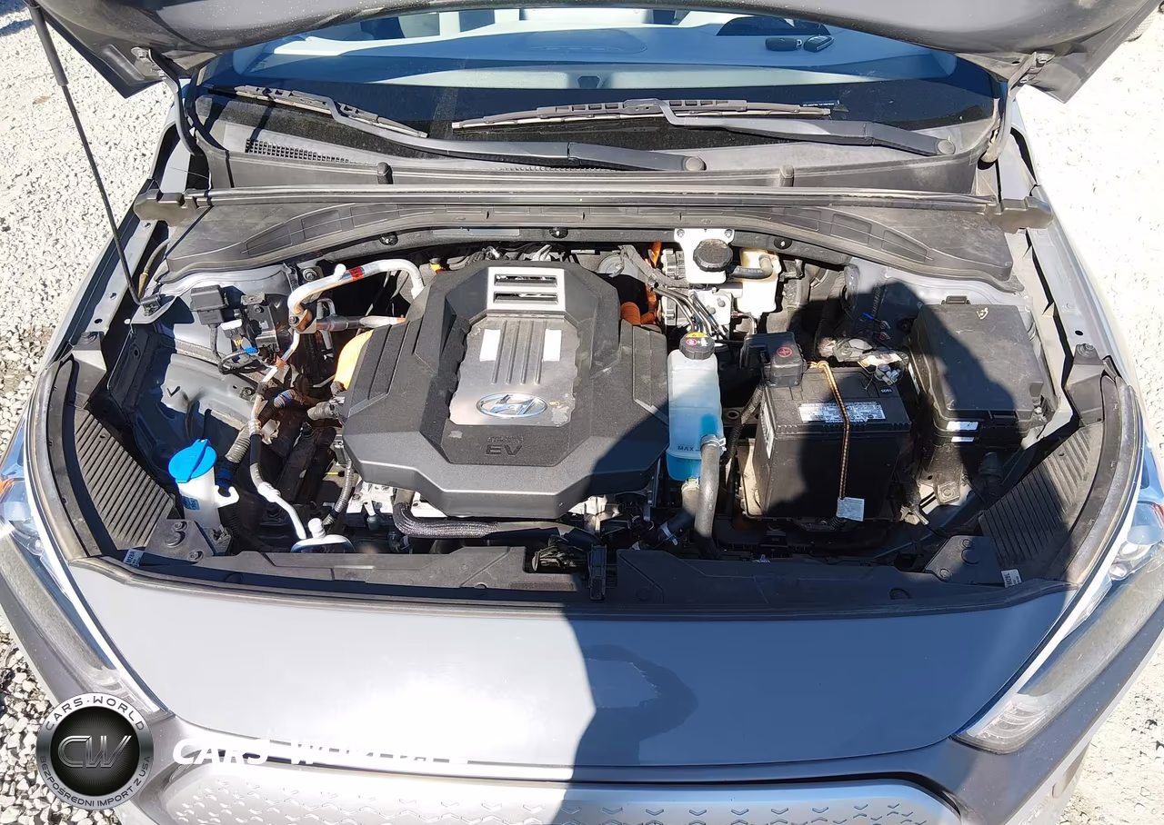 2020 Hyundai Ioniq Electric Se VIN:KMHC75LJ4LU067669 - 10