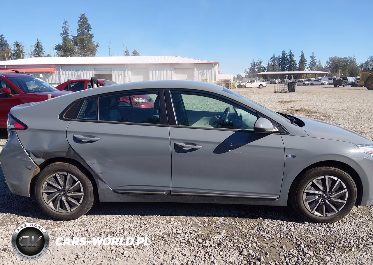 2020 Hyundai Ioniq Electric Se VIN:KMHC75LJ4LU067669 - 13