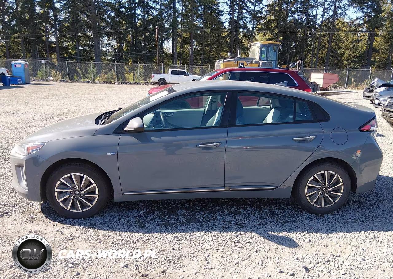2020 Hyundai Ioniq Electric Se VIN:KMHC75LJ4LU067669 - 14