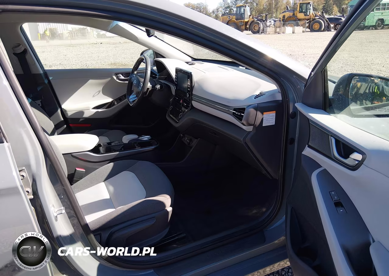 2020 Hyundai Ioniq Electric Se VIN:KMHC75LJ4LU067669 - 19