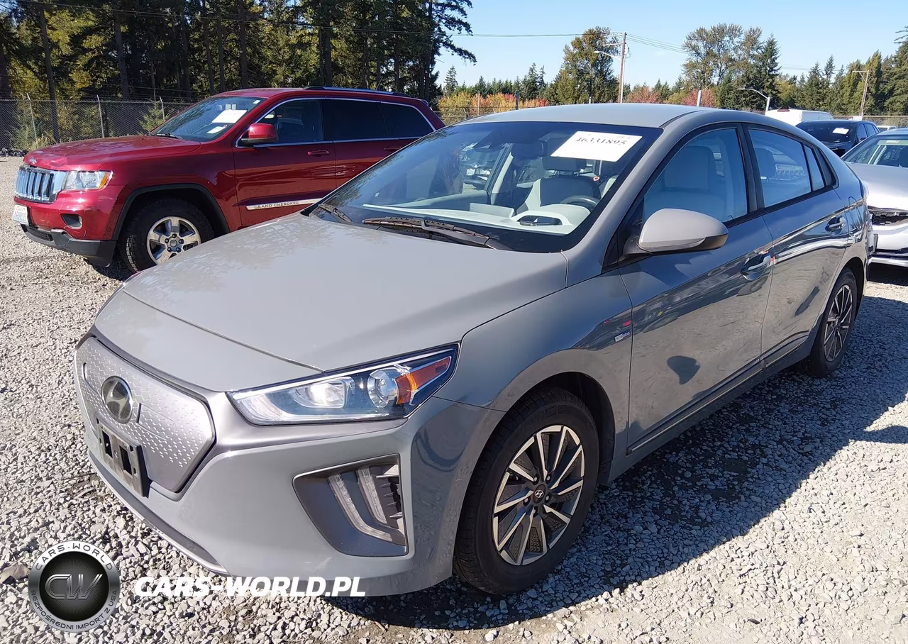 2020 Hyundai Ioniq Electric Se VIN:KMHC75LJ4LU067669 - 2