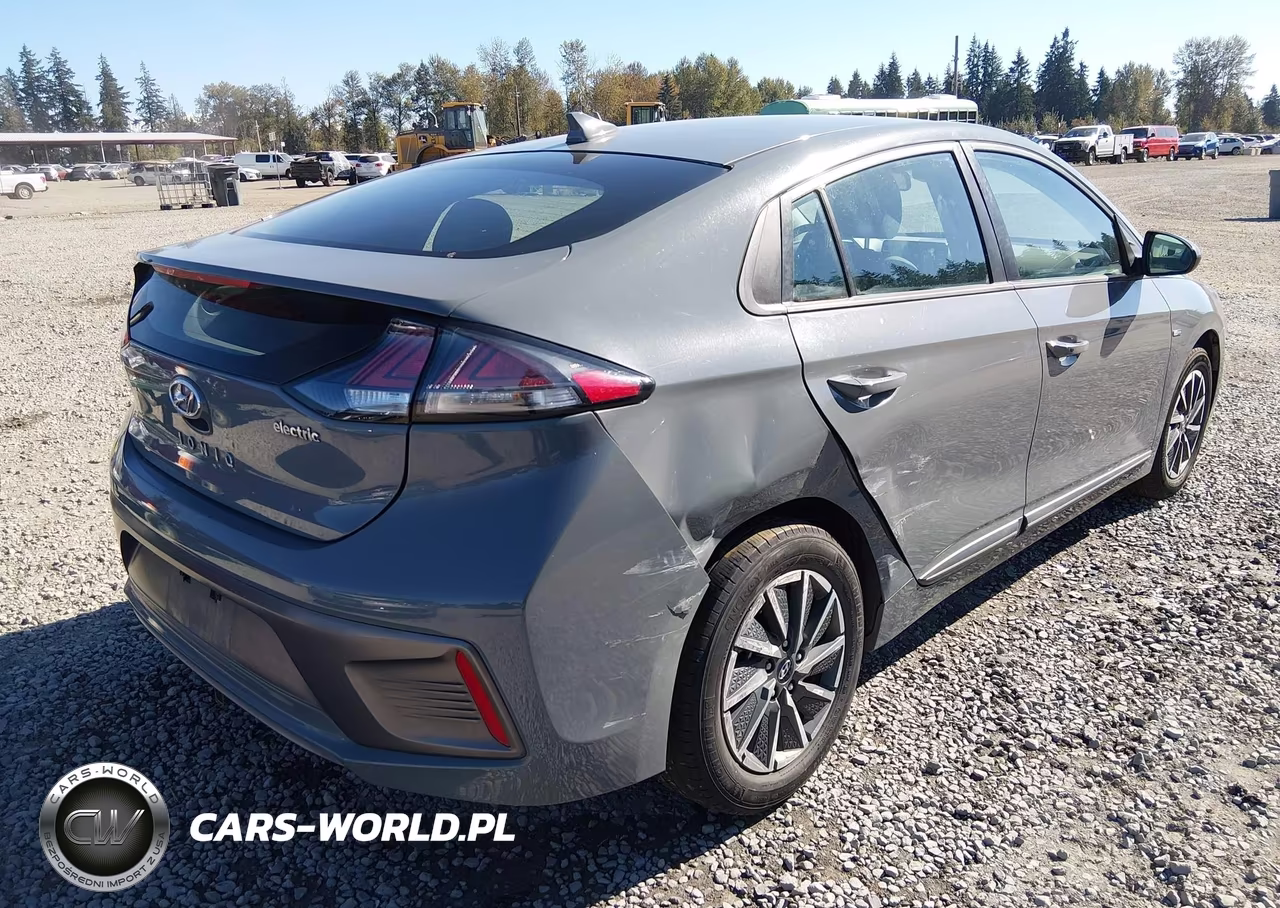 2020 Hyundai Ioniq Electric Se VIN:KMHC75LJ4LU067669 - 4