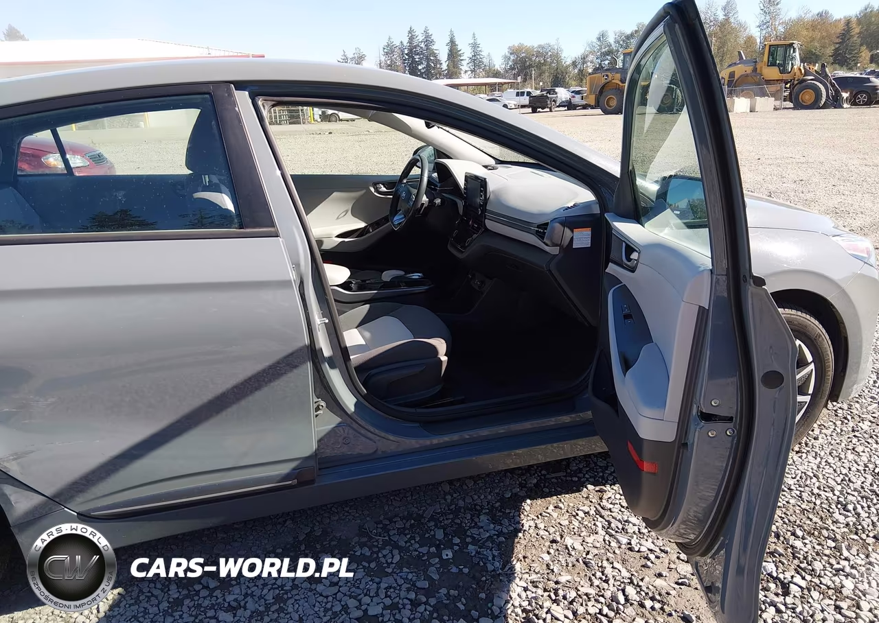 2020 Hyundai Ioniq Electric Se VIN:KMHC75LJ4LU067669 - 5