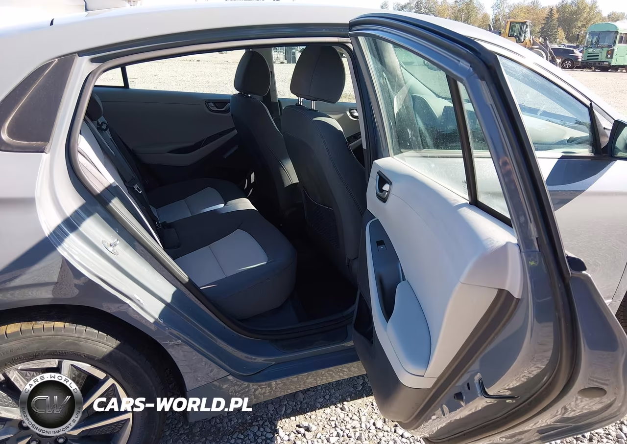 2020 Hyundai Ioniq Electric Se VIN:KMHC75LJ4LU067669 - 8