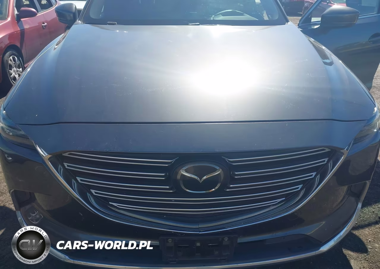 2017 Mazda Cx-9 Grand Touring VIN:JM3TCBDY6H0129878 - 6