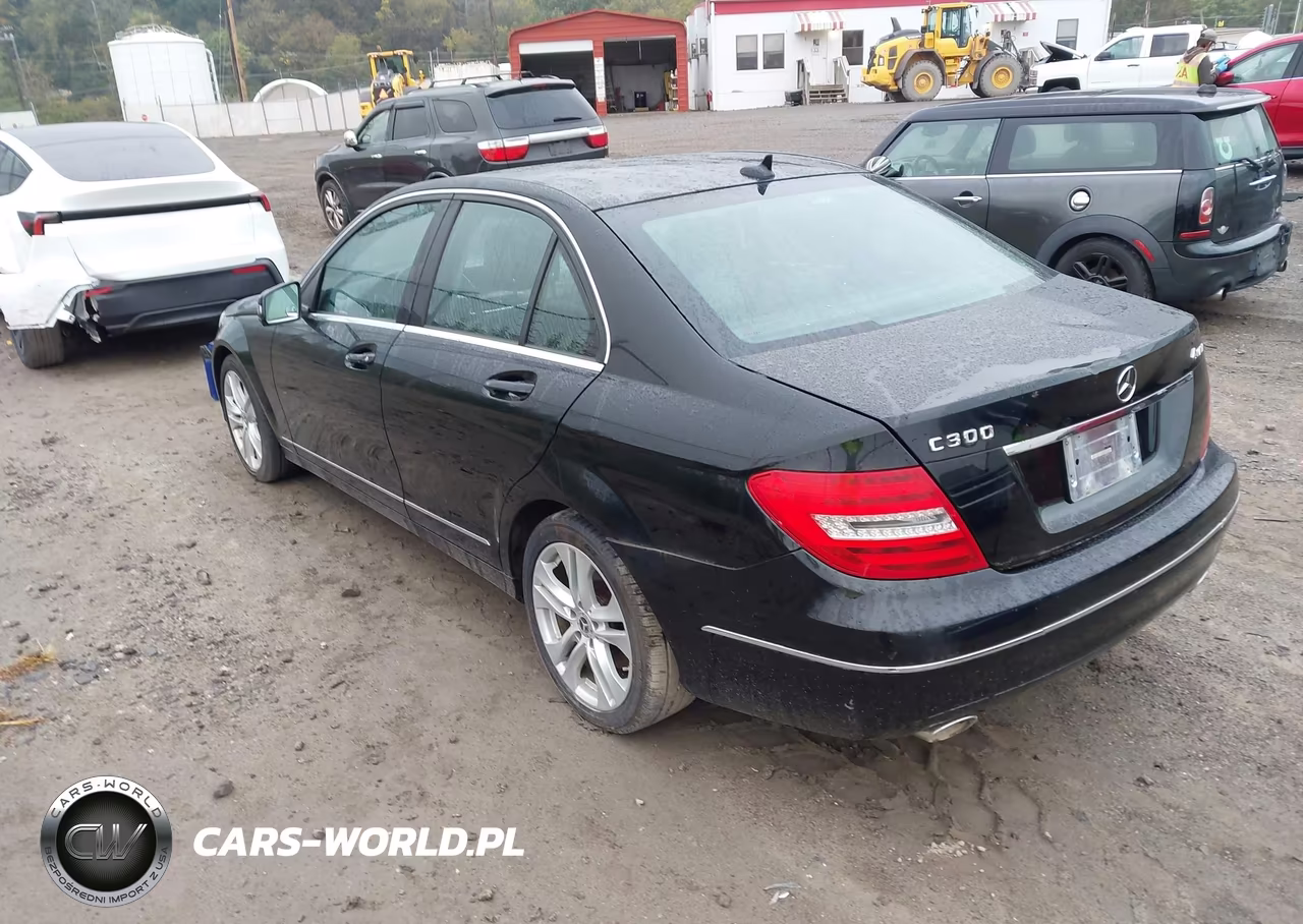 2013 Mercedes-Benz C 300 Luxury 4Matic VIN:WDDGF8ABXDA868055 - 3