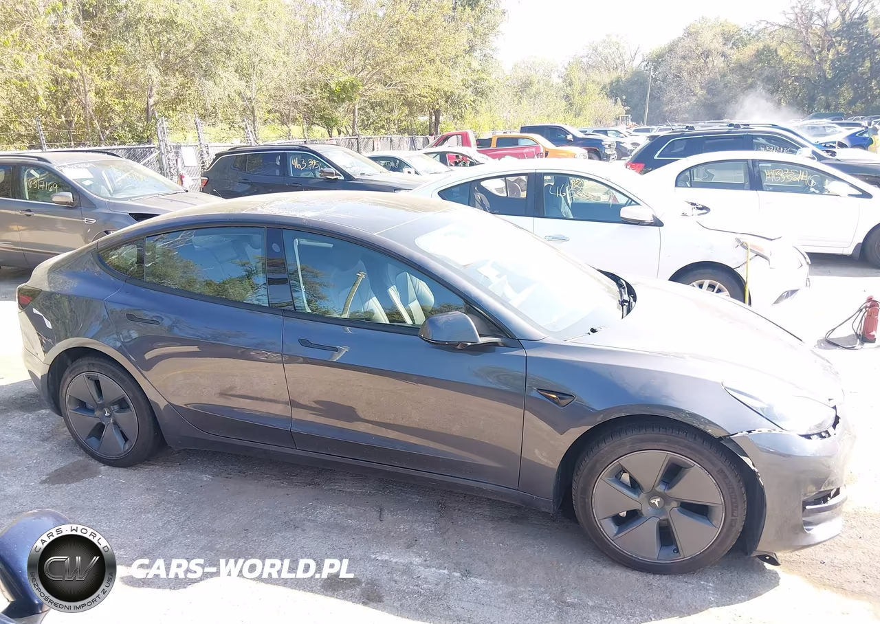 2023 Tesla Model 3 Rear-Wheel Drive VIN:5YJ3E1EA3PF669154 - 12