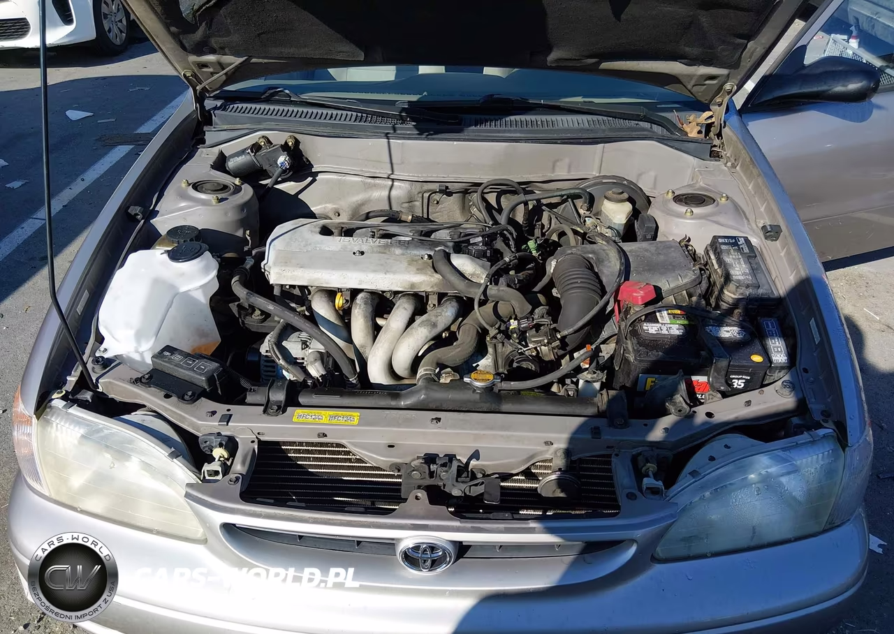 1999 Toyota Corolla Ve VIN:2T1BR12E1XC165780 - 10