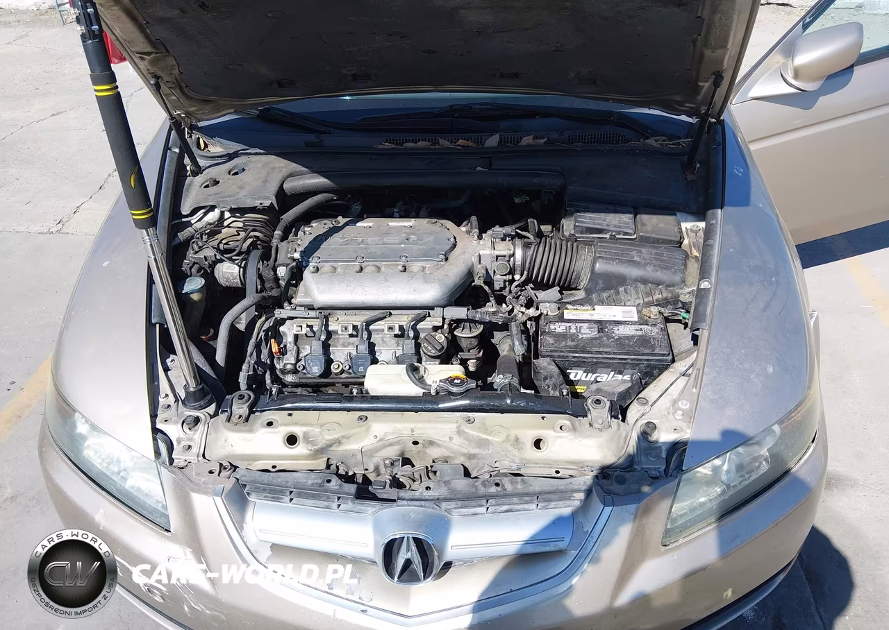2004 Acura Tl VIN:19UUA66254A003746 - 10