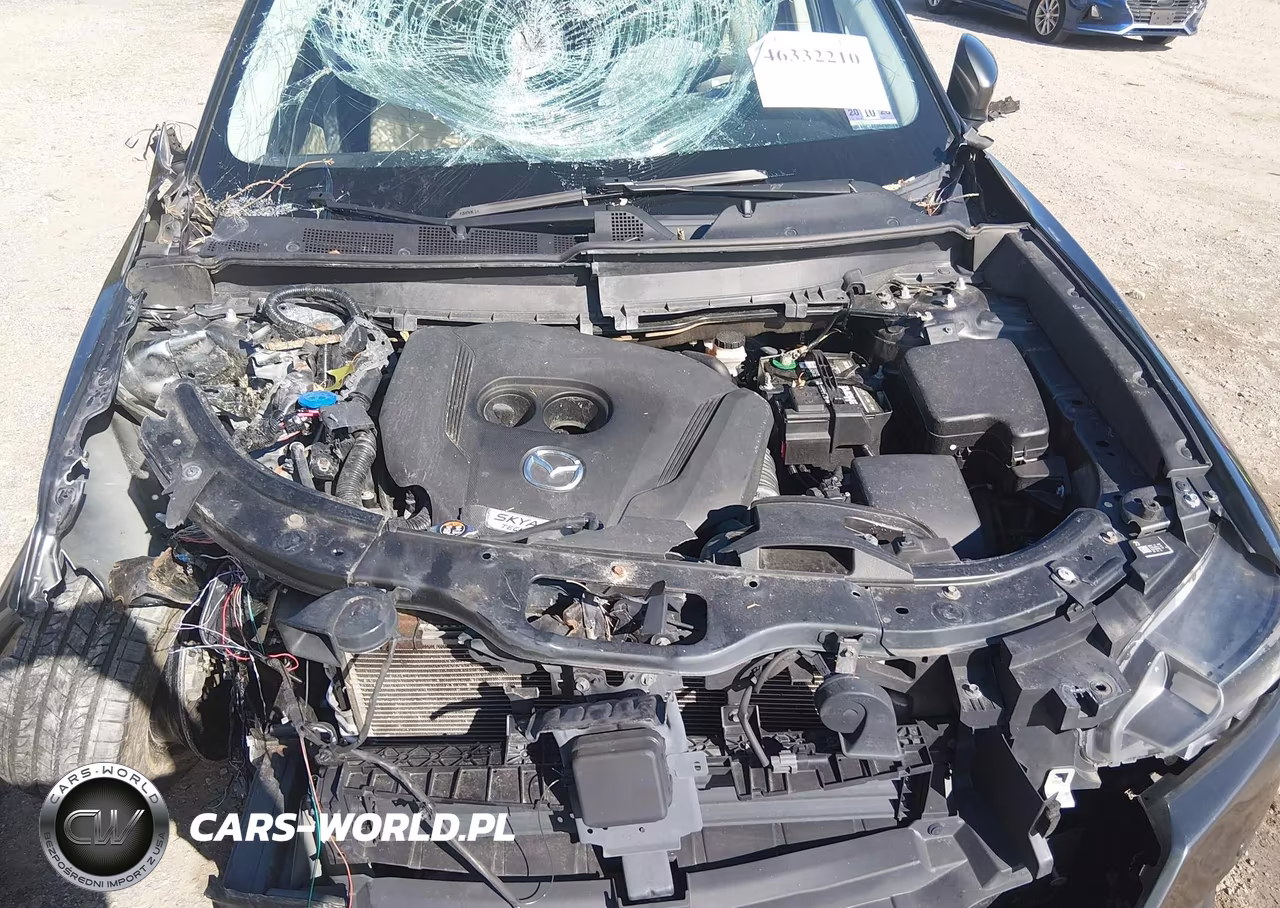 2019 Mazda Cx-9 Touring VIN:JM3TCBCY3K0335877 - 10